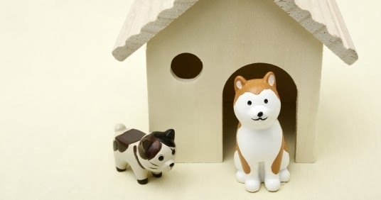 「わずか月１万少々の食費で、何千億円もの健康を稼ぎ、あなたの一生の夢を実現させる健康長者養成１０日間ナビ」