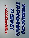 平均回収率約3000%!12点買いで万馬券を的中させる脅威の投資競馬術