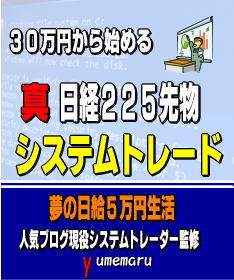 人気ブログシステムトレーダー監修 30万円から始められる日経225先物システムトレード 1日5万円儲けるための投資術