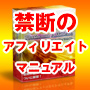 全241ページ!禁断のブログアフィリ術を大公開!【プラチナムアフィリエイト】(サポート付プラン)