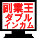 ネット副業王!ダブルインカム達成法