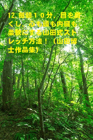 12.毎朝10分、目を良くし、心も頭も内臓も柔軟にする山田式ストレッチ方法!(山田博士作品集)