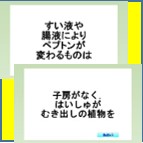 中学受験 理科・社会 脳プレス高速暗記講座 理科編(上)(下)セット