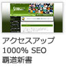 11_アクセスアッ
プ1000% SEO覇道新書