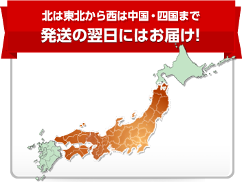 北は東北から西は中国・四国まで発送 の翌日にはお届け!