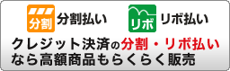分割 リボ クレジット決済の分割・リボ払いなら高額商品もらくらく販売