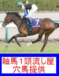 軸馬1頭流し屋