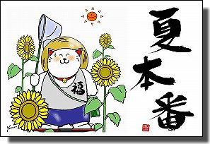 ◆サンキューレター用ポストカード10枚組◆7月用その2