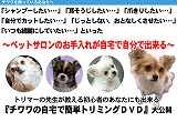 初心者のためのチワワのお手入れ動画DVD
