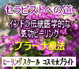 上野式生命素子プラーナ療法初級コース1&2/48000